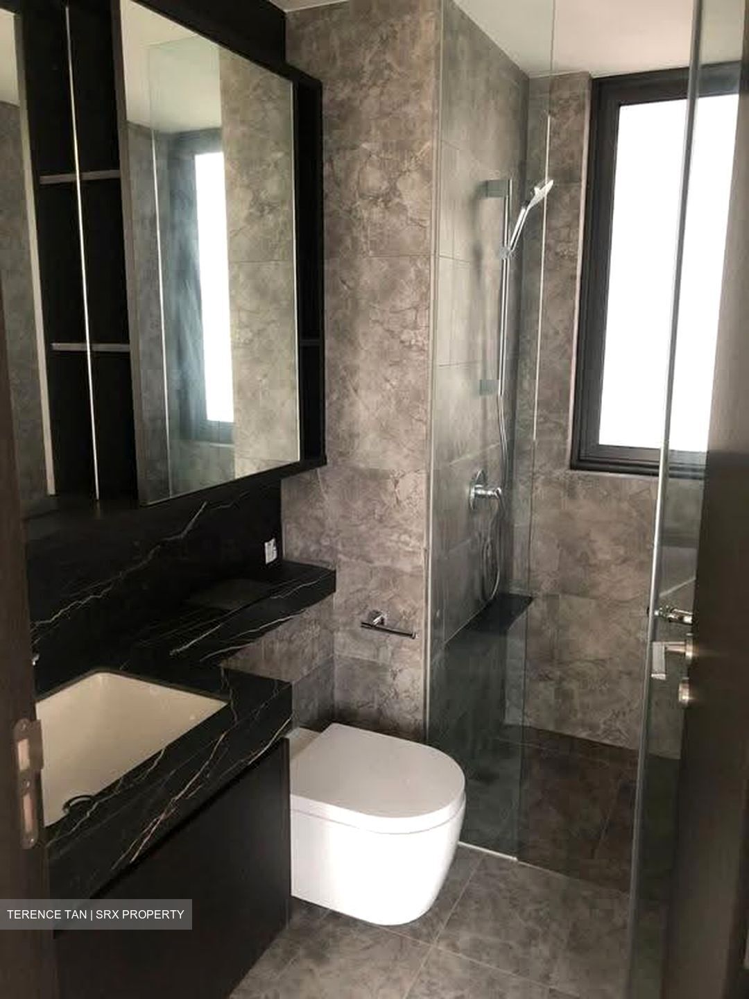 Hyll On Holland (D10), Condominium #612888791